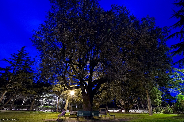 Ortobene, giardini by night - (IMG_2335_2).jpg